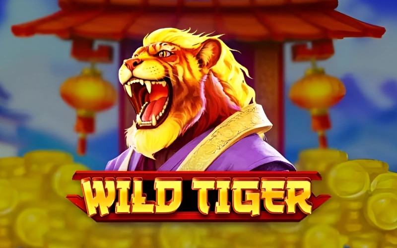 Encontre o Wild Tiger mais popular no Lucky Star Casino.