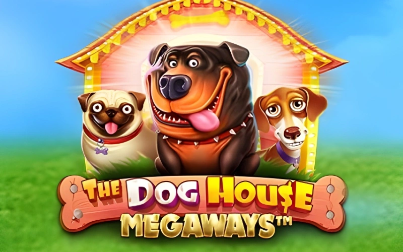 Experimente o The Dog House Megaways apresentado no Lucky Star.